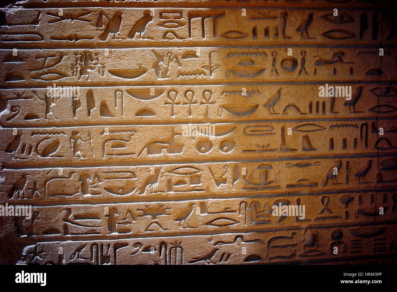 Jeroglífico. Mastaba de Horemheb. La necrópolis de Saqqara. El Bajo Egipto Foto de stock