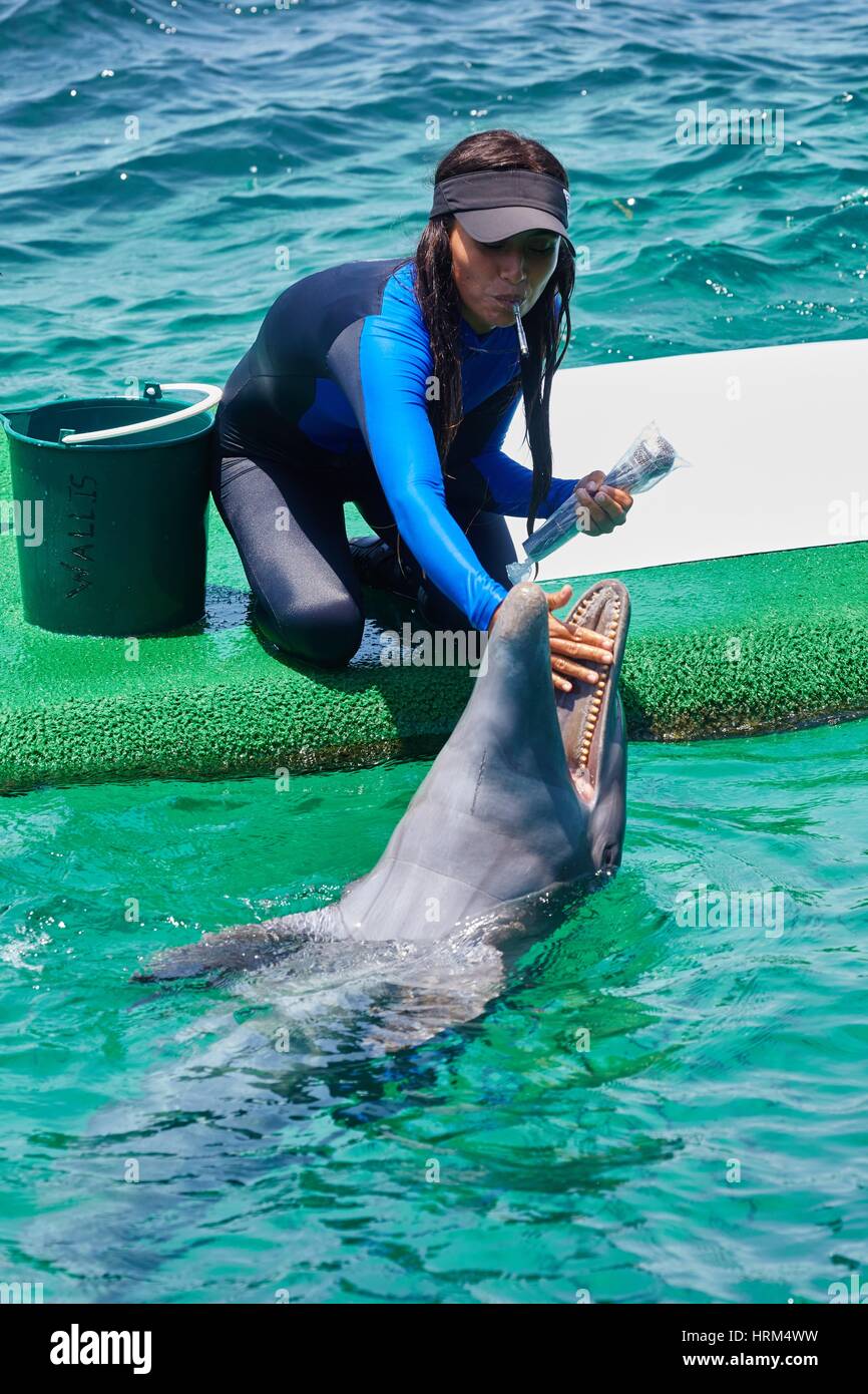 Isla de san martin de pajarales fotografías e imágenes de alta
