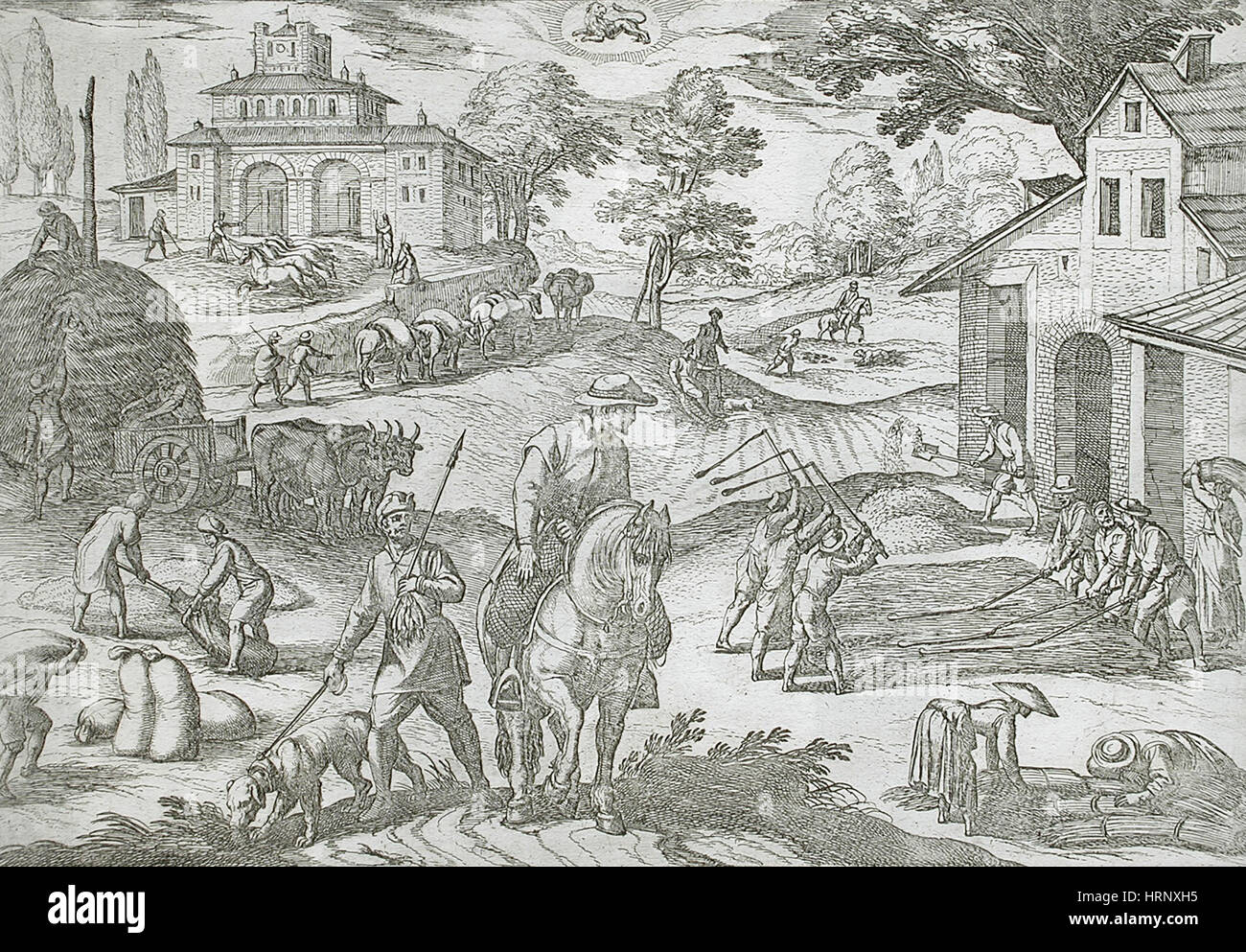 Julio, la trilla, el calendario del siglo XVI. Foto de stock