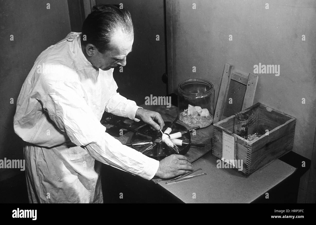 Investigación de exposición a la radiación, 1944 Foto de stock