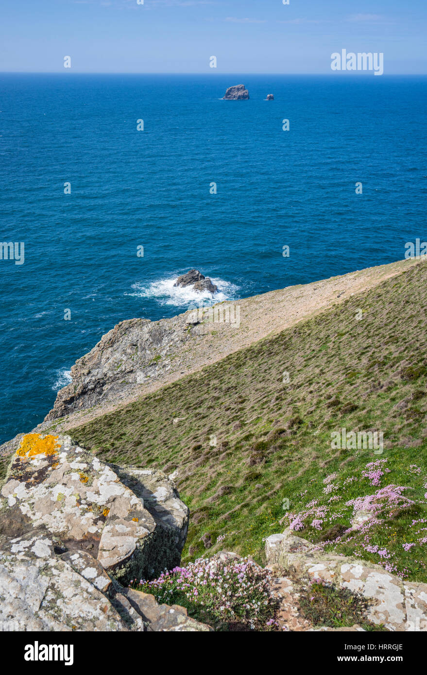 Reino Unido, Sur Oeste de Inglaterra, Cornwall, Santa Inés Costa de la herencia, la cabeza de Santa Inés, vista de las rocas Bawden, también conocido como vaca y ternera Foto de stock