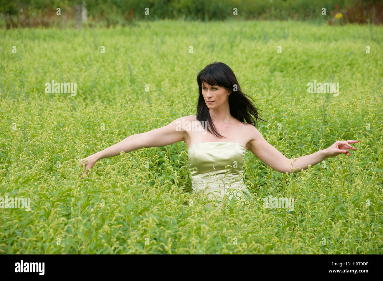 Hermoso modelo Sensu'Elle que llevaba un vestido verde en el pasto largo  Fotografía de stock - Alamy