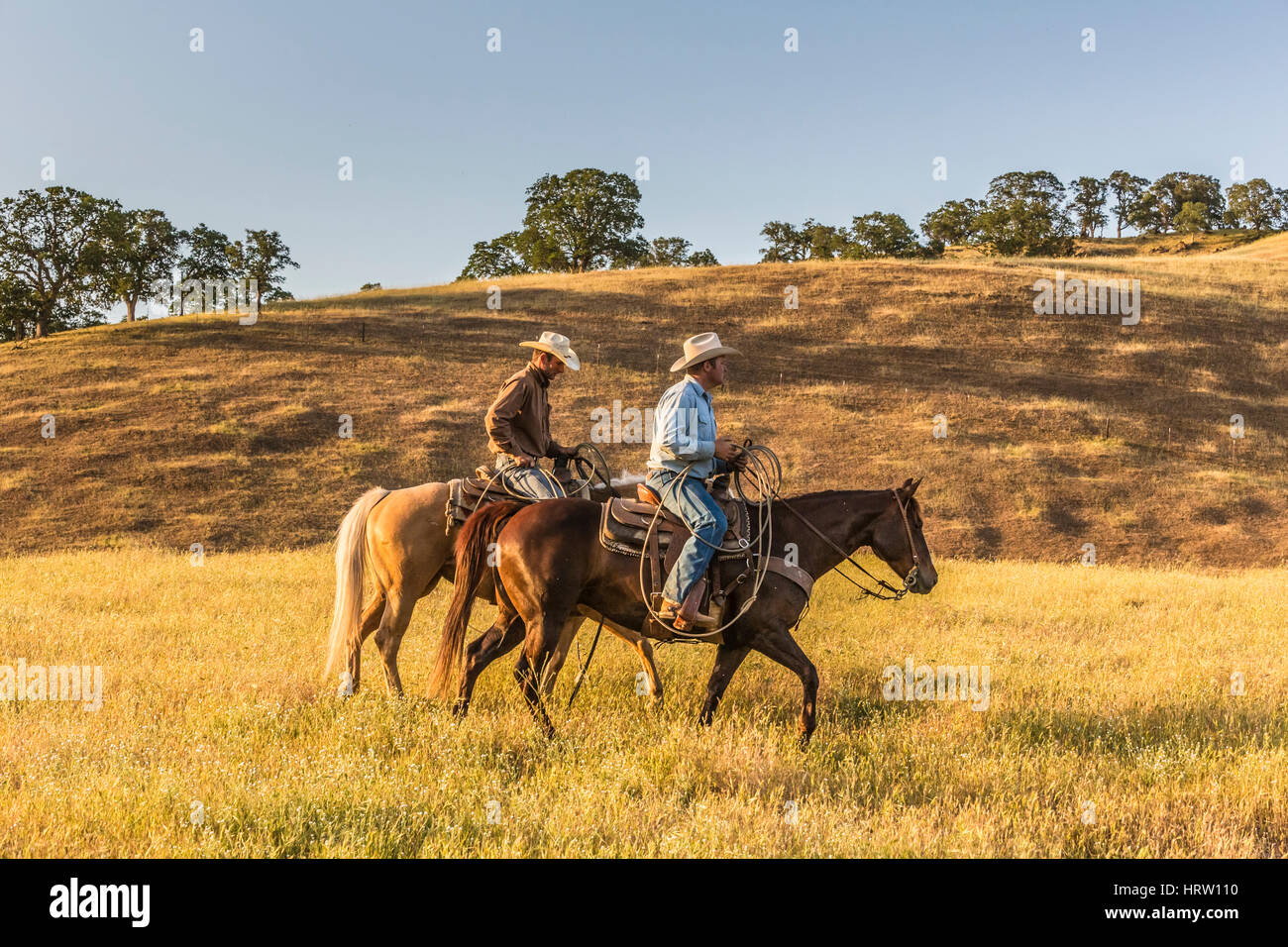 Dos vaqueros a caballo en el rancho de de stock - Alamy