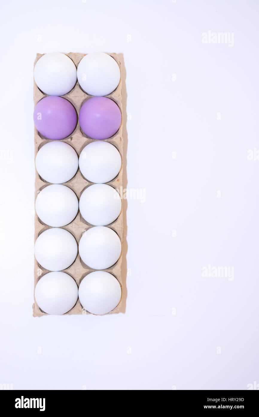 Dos huevos de Pascua teñidos de lavanda o lila y diez huevo de gallina blanca en un bronceado cartón desde arriba con fondo blanco y copie el espacio. Foto de stock