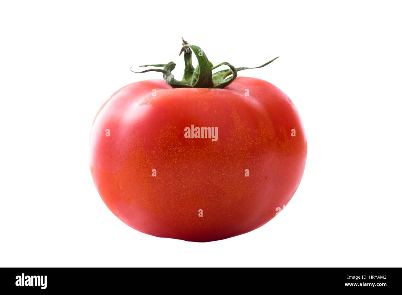 Cerrar foto de una sola orgánica de tomate maduro, aislados delante de un fondo blanco. Foto de stock