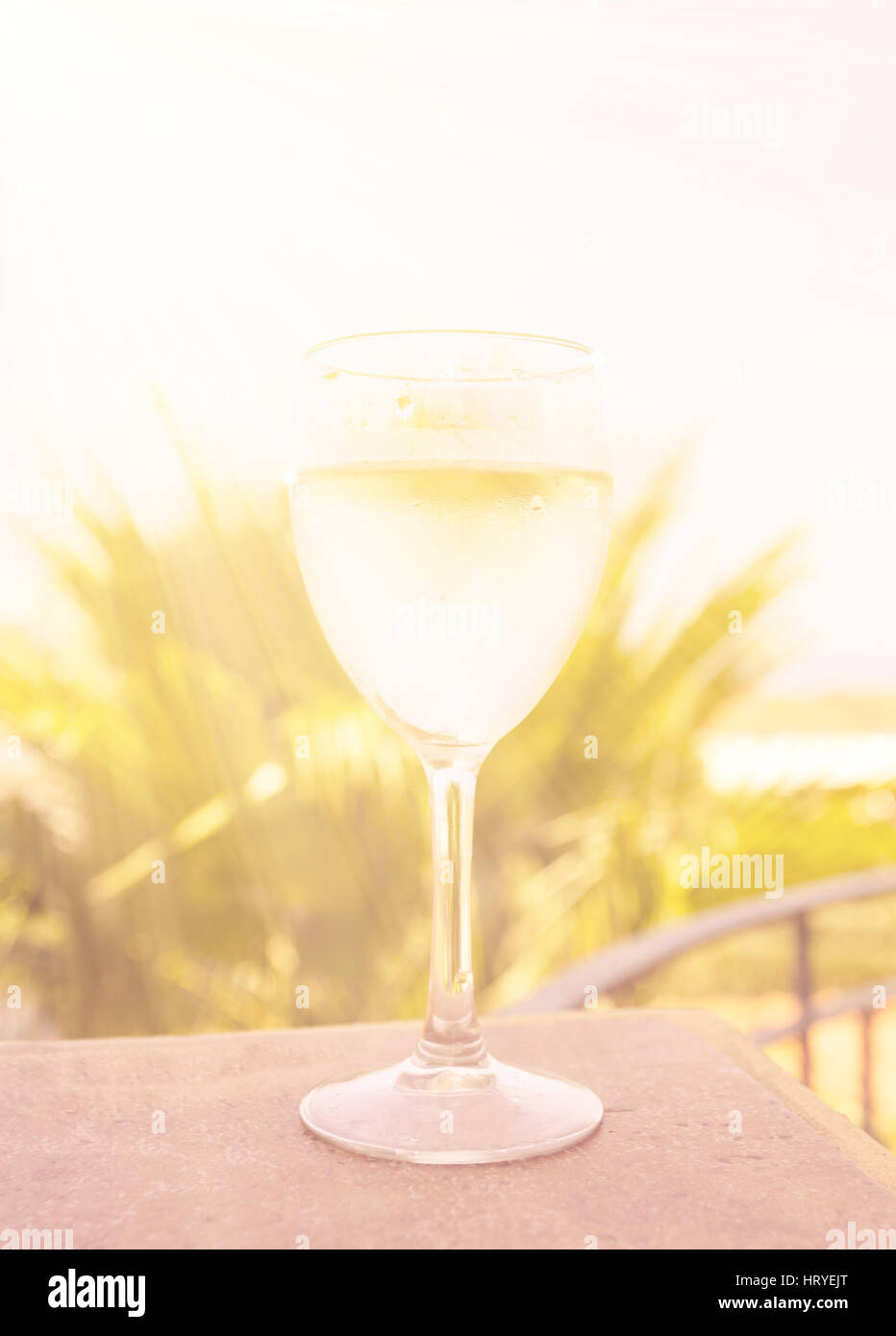 Copa de vino blanco más brillante con el cielo azul de fondo natural y plantas verdes. Foto de stock