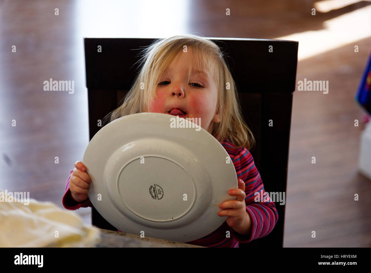 Una niña pequeña (2 años) le lame la placa después de la cena Foto de stock