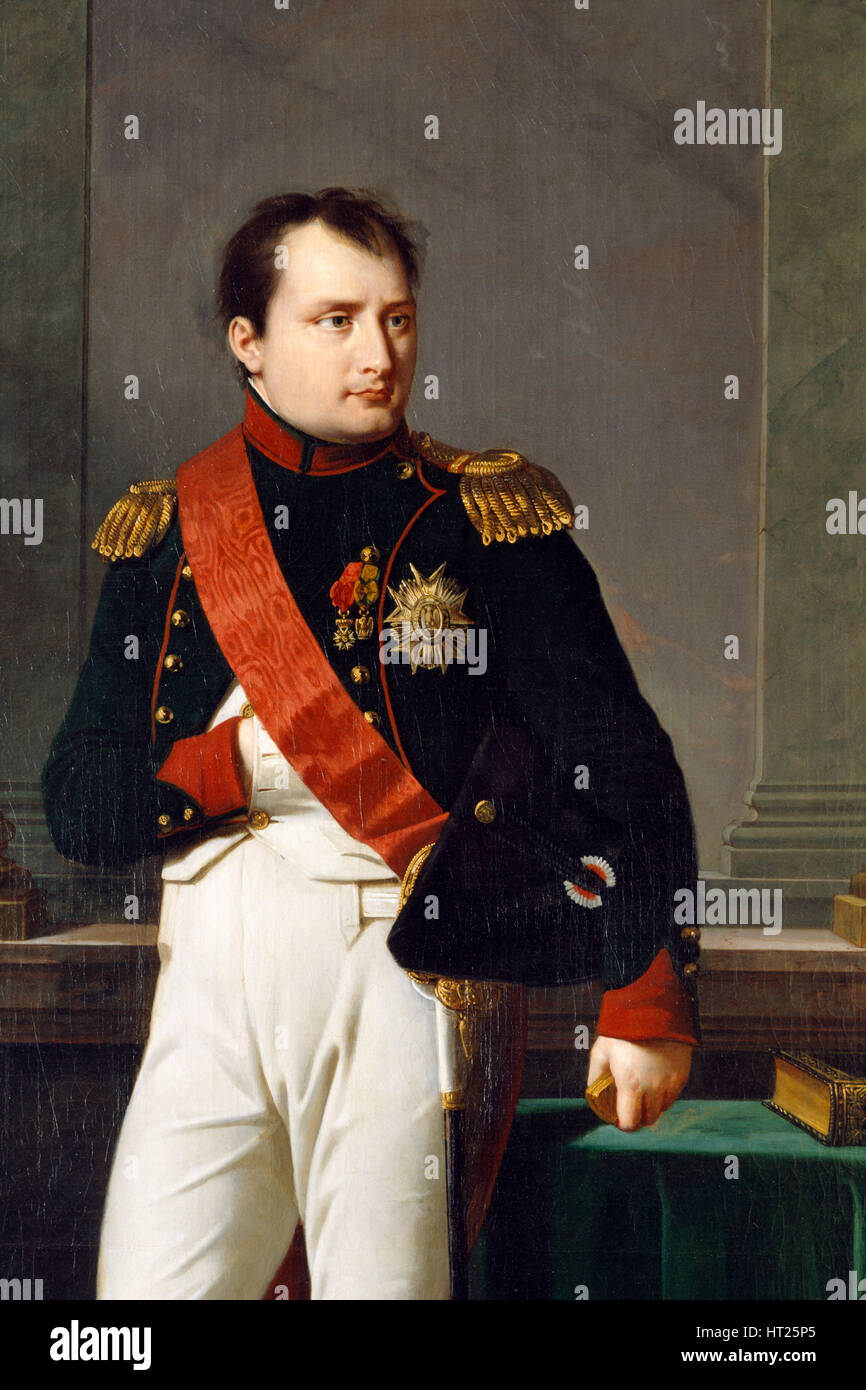 Detalle de un retrato de Napoleón Bonaparte, 1812. Artista: Robert Lefevre. Foto de stock
