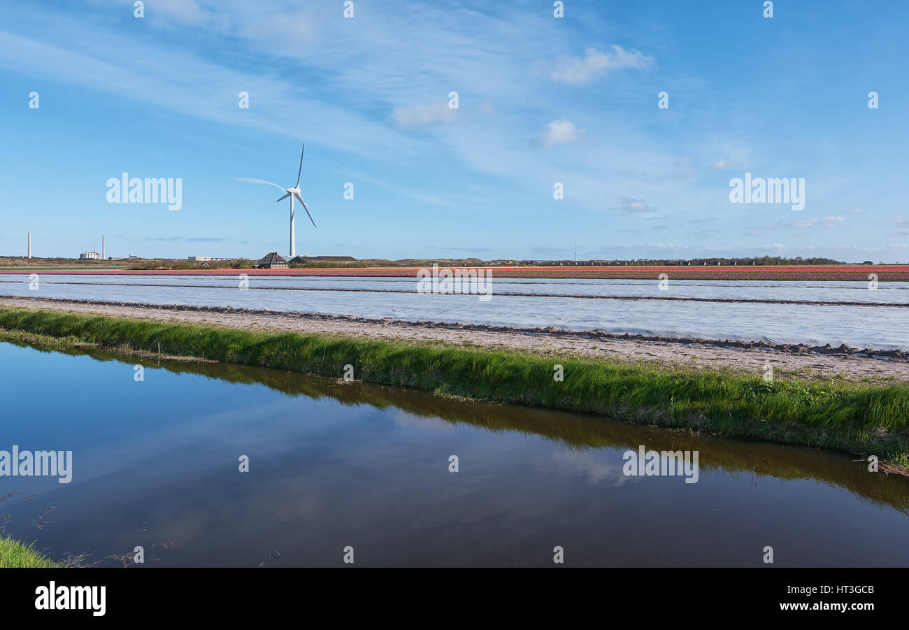 Campo cubierto con papel de aluminio para un rápido calentamiento, Países Bajos Foto de stock