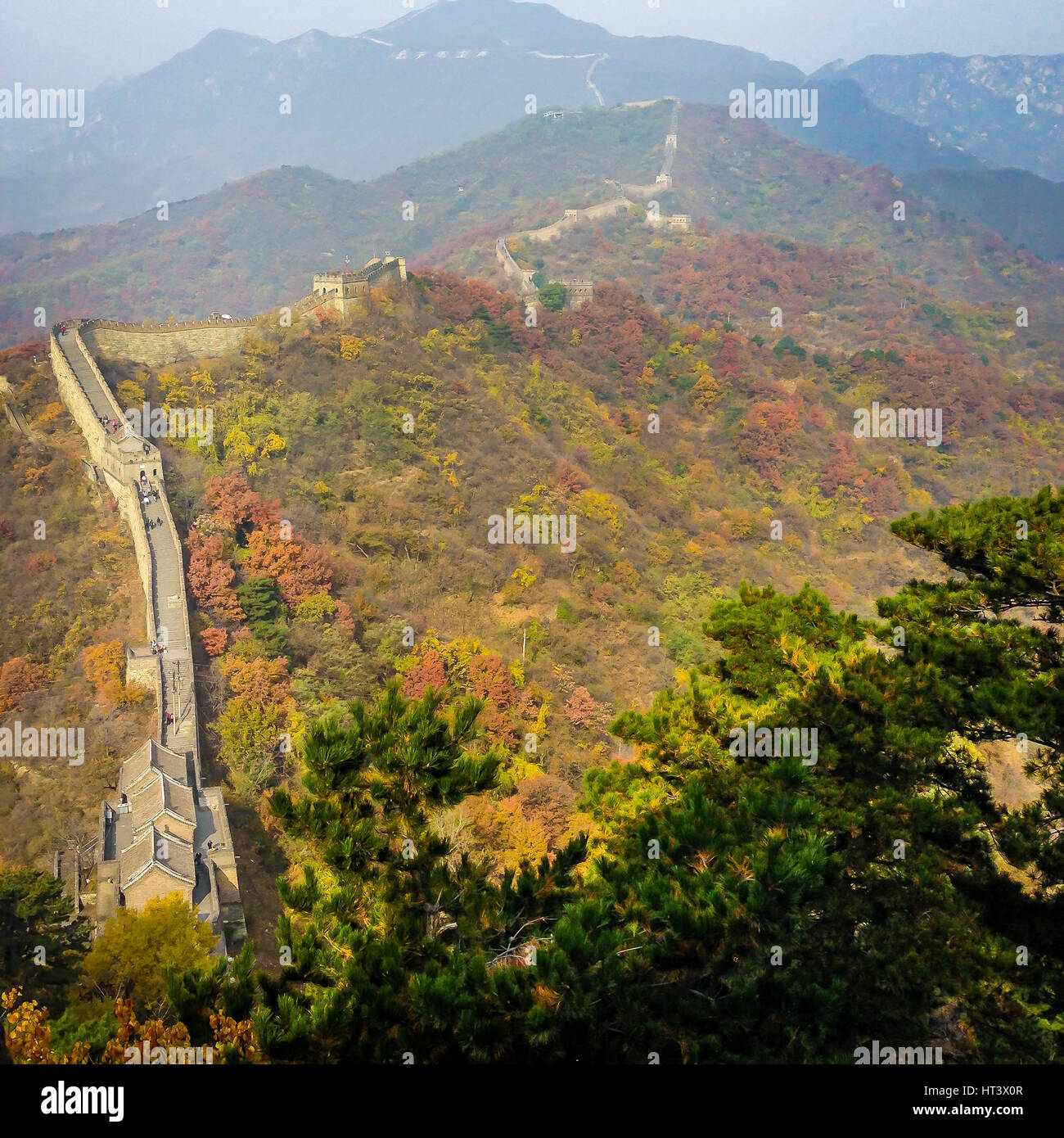 Antiguo gran muralla de China, en la temporada de otoño Foto de stock