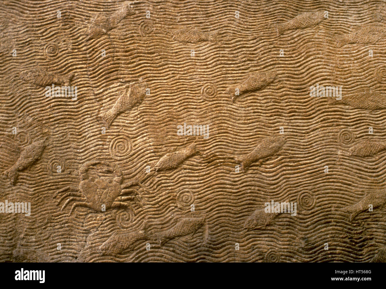 Imperio Asirio. Reinado de Senaquerib (705 BCE-681 BCE). Escena marina. Los peces. El alivio de su Palacio de Nínive. Iraq. Foto de stock