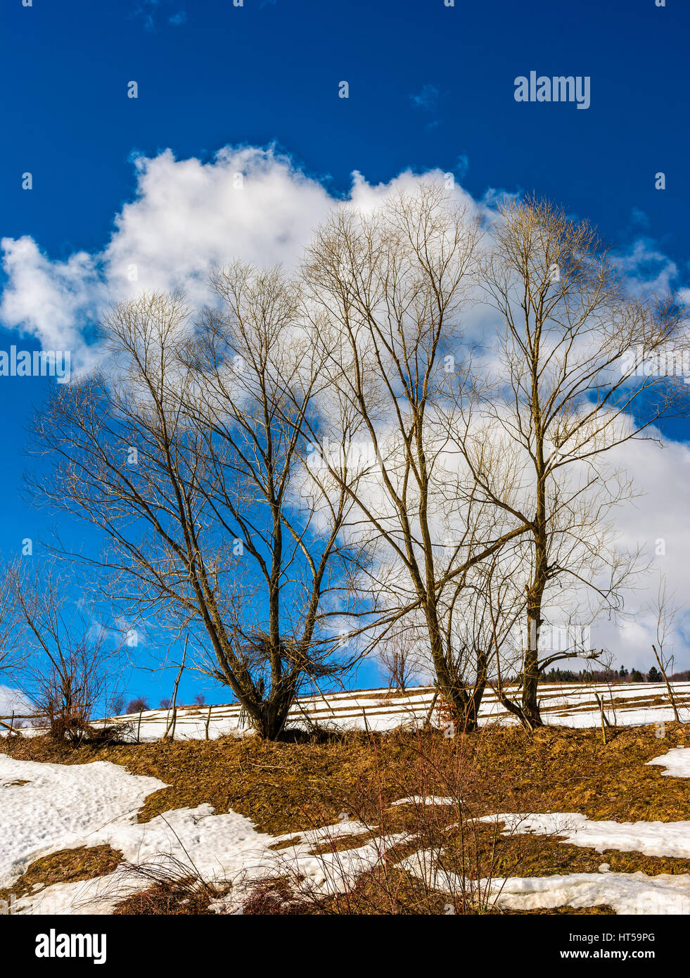 La primavera ha llegado. Últimos días de paisaje invernal. Foto de stock