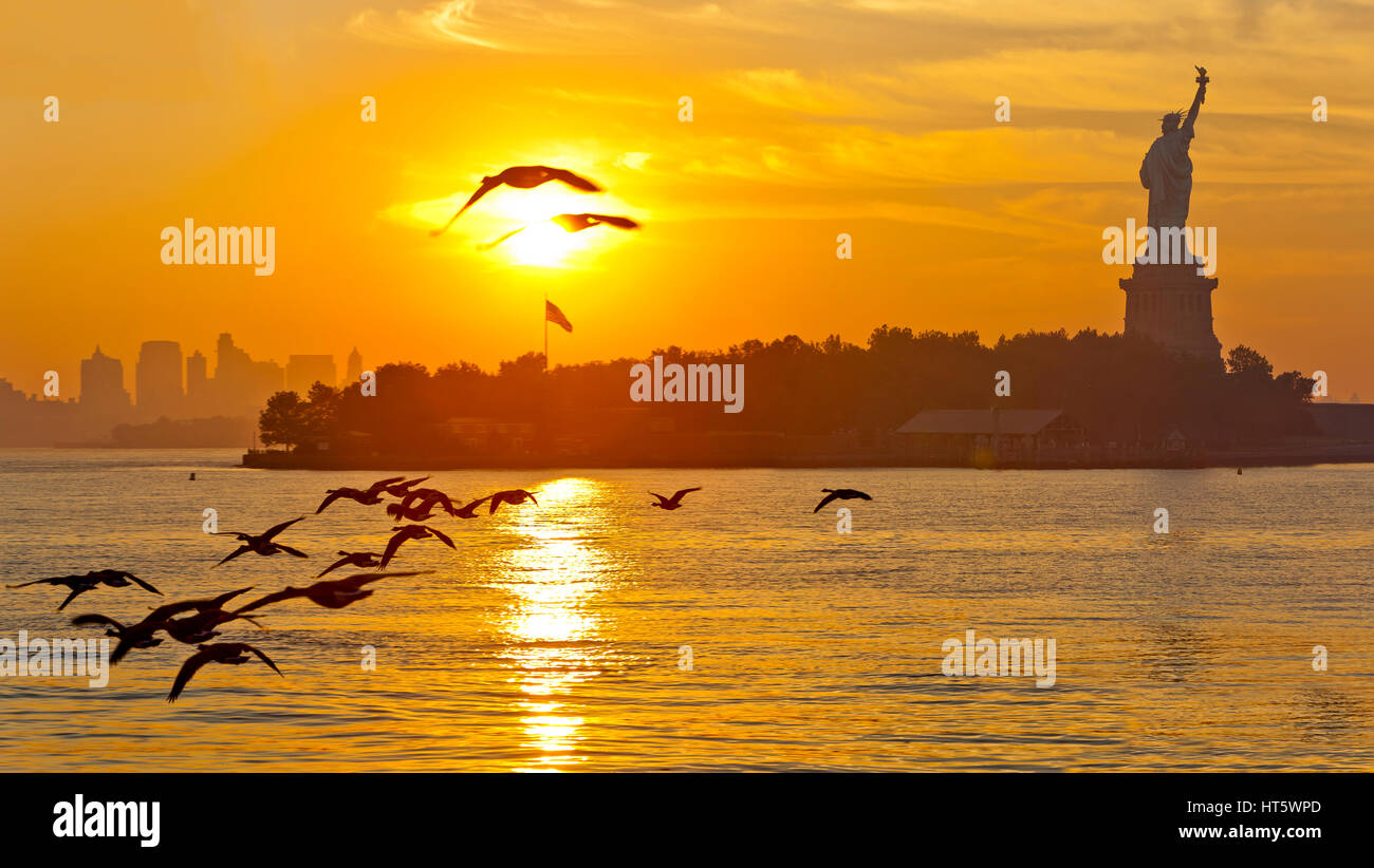 El amanecer y la estatua de la libertad y una bandada de aves volando y la Ciudad de Nueva York. Foto de stock