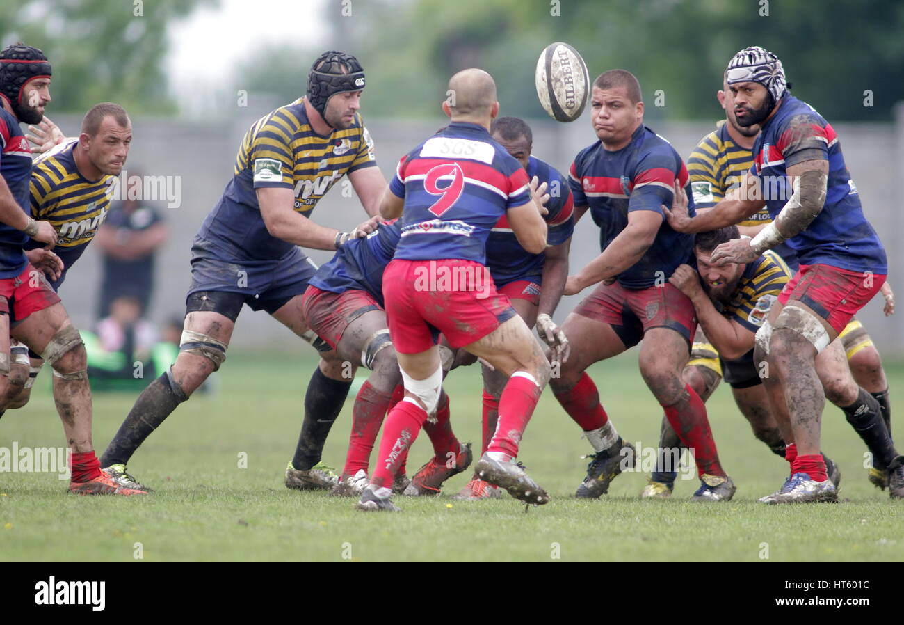 Mayo 15 2016 Sarracenos Partido De Rugby Entre El Rcm Timisoara Uvt Y Csa Steaua Bucarest Rumania Cup Match Semifinal En Dan Paltinisanu Estadio De Timisoara En Rumania Rou Foto Cronos Adrian Piclisan