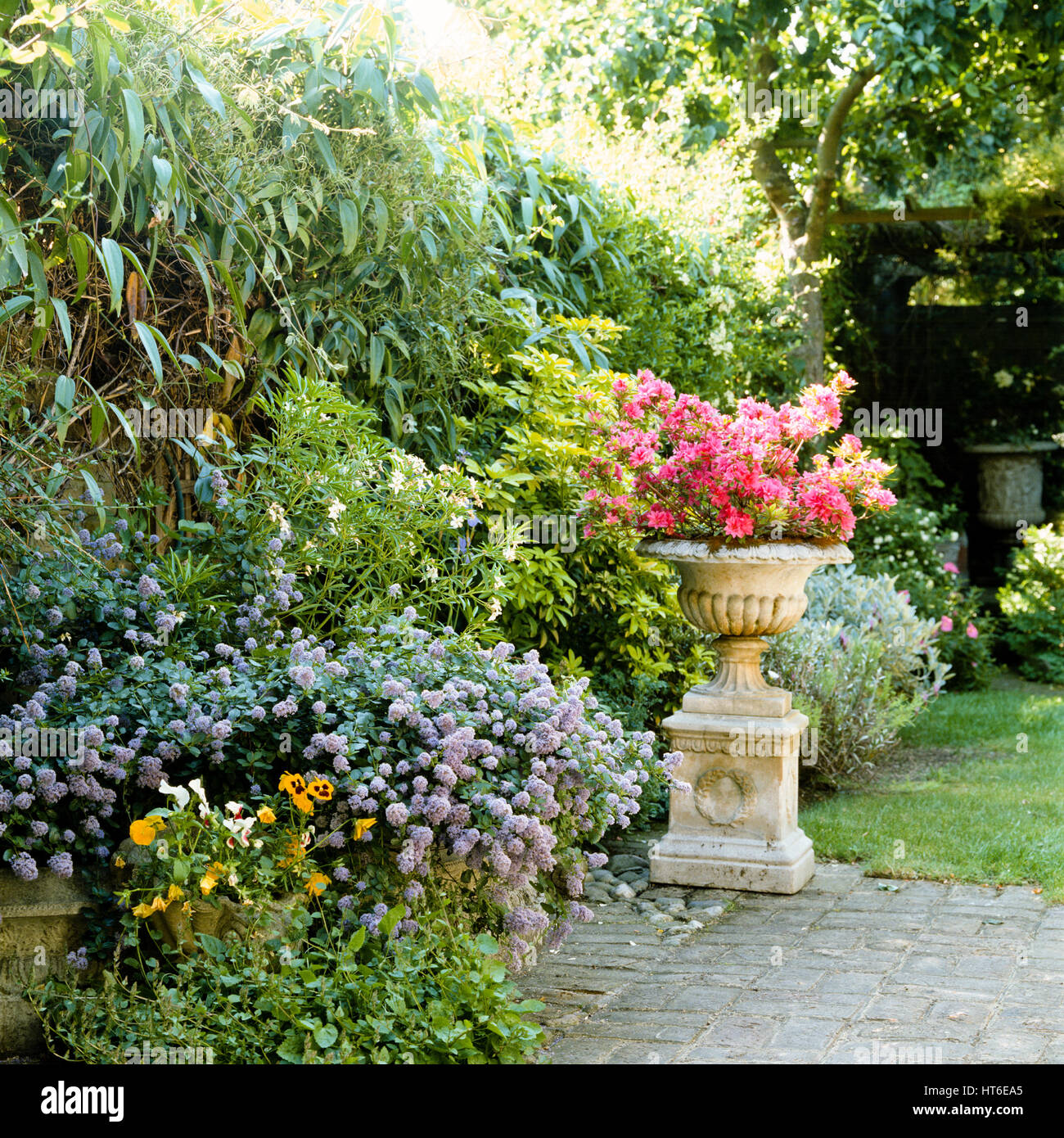 Jardín. Foto de stock