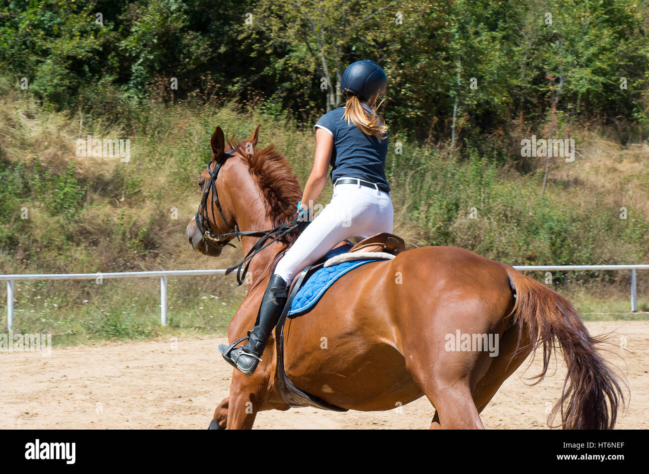 Entretenimiento con paseos a caballo. Paseo a caballo en el ocio. Foto de stock