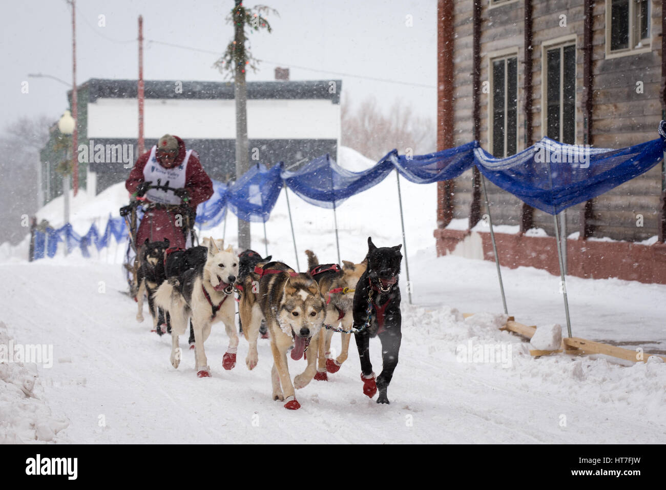Calumet, MI - Marzo 1, 2015: 150 CopperDog Sled Dog Race. Equipos recorrer 150 millas a lo largo de 3 días durante el evento anual, que comienza y termina en su Foto de stock