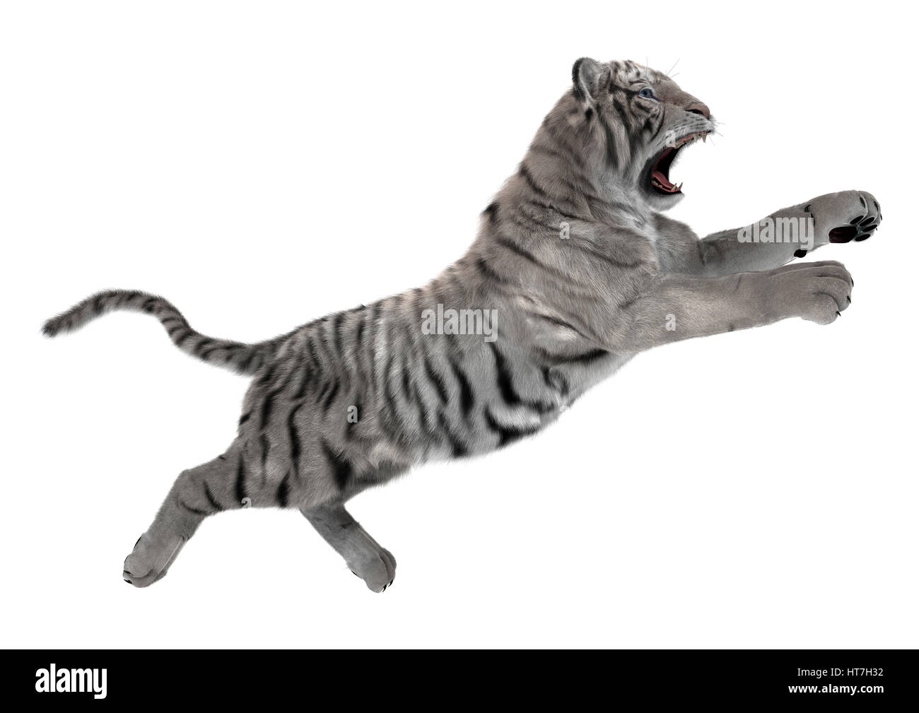 pics Un Tigre Saltando https www alamy es foto representacion 3d de un tigre blanco saltando aislado sobre fondo blanco 135391398 html