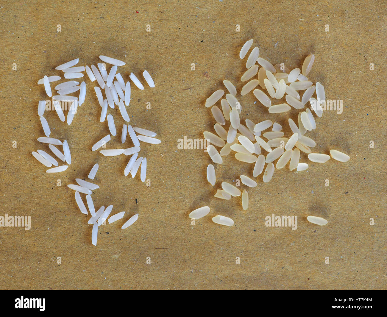 Dos tipos diferentes de arroz Basmati hindú incluyendo e italiano parboleid Fotografía de stock