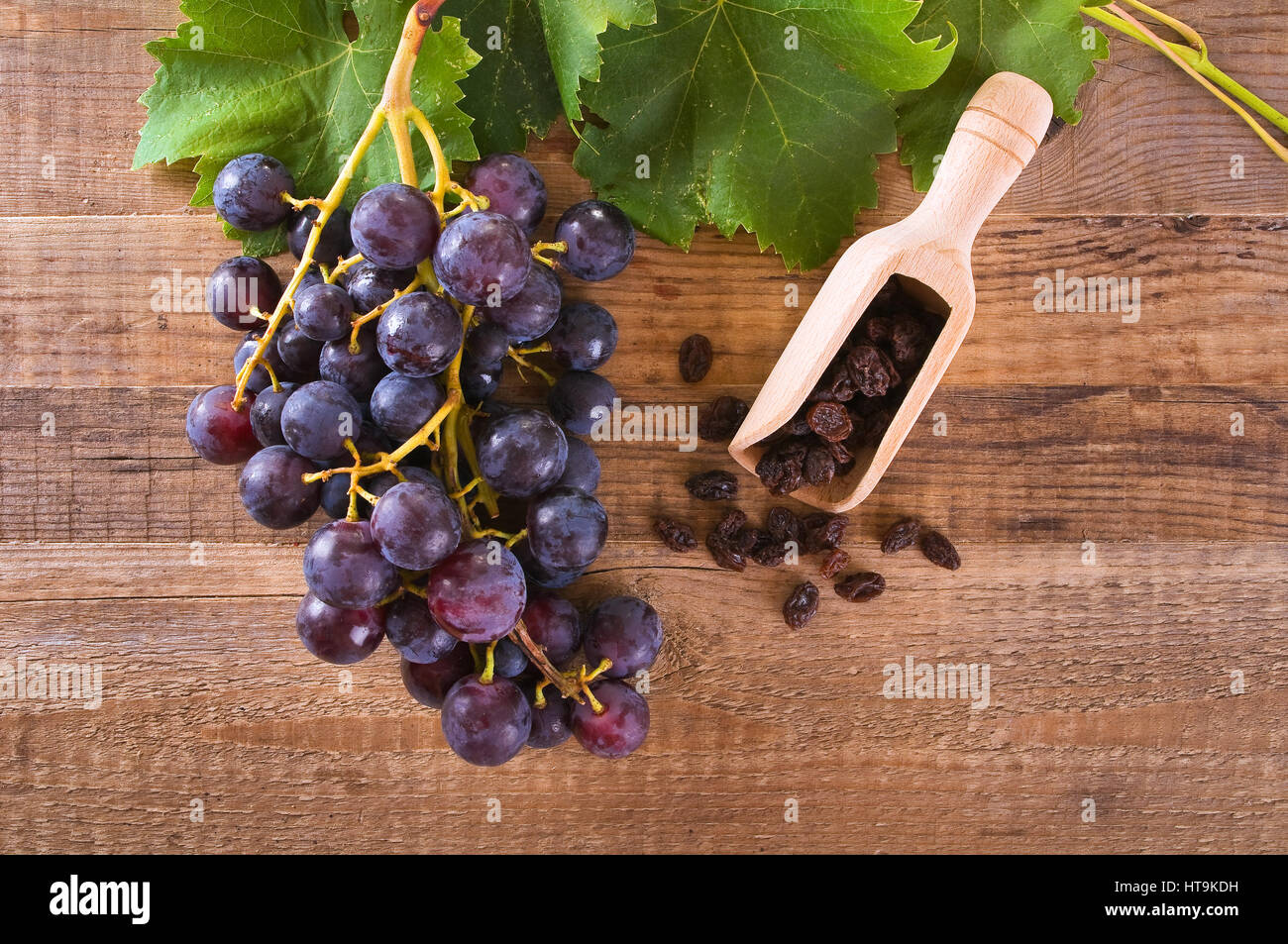 Hojas De Parra Secas Fotos e Imágenes de stock Alamy