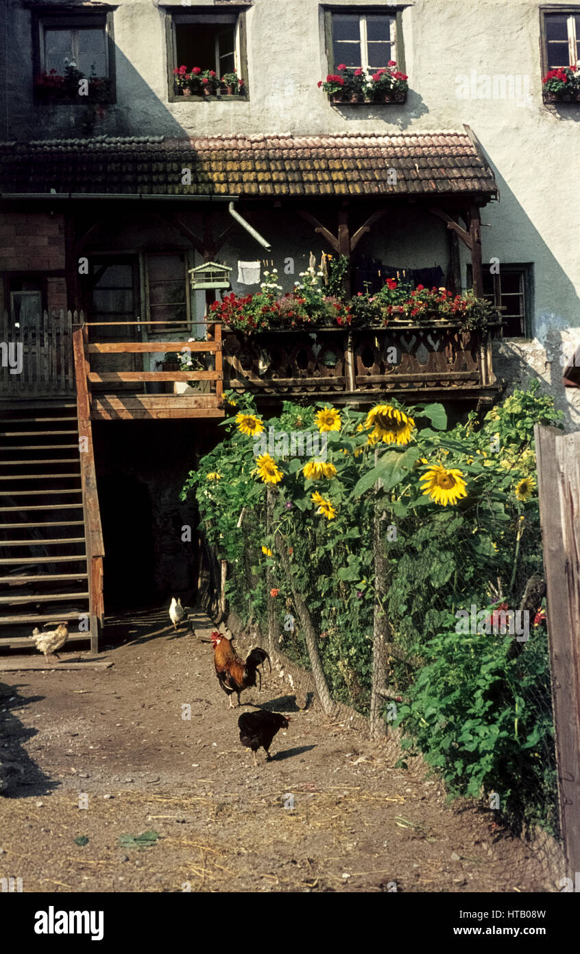 Casa antigua en Glurns en Tirol del Sur en 1974. En mit Hühnern Hinterhof Glurns und Bauergarten Foto de stock