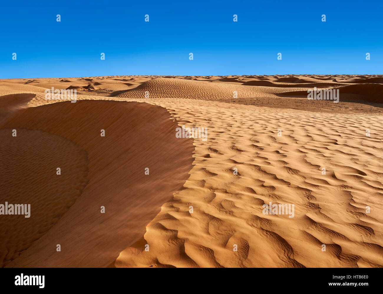 El desierto del Sahara dunas de Erg Oriental cerca del oasis de Ksar Ghilane, Túnez, África Foto de stock