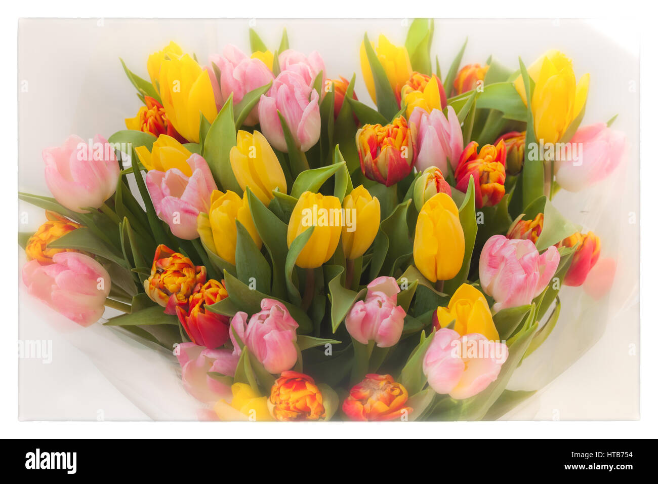 Flores tulipanes. Ramos de flores de colores de los tulipanes. Cocept de  día de la Mujer, Día de la Madre, Día de San Valentín, el 8 de marzo,  tarjeta de felicitación para