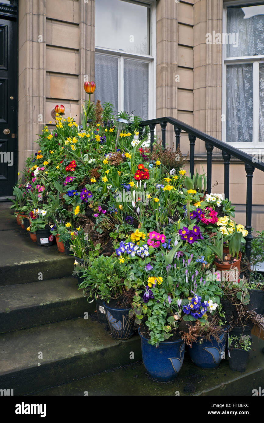 Flores en tu puerta jardines de primavera fotografías e imágenes de alta  resolución - Alamy