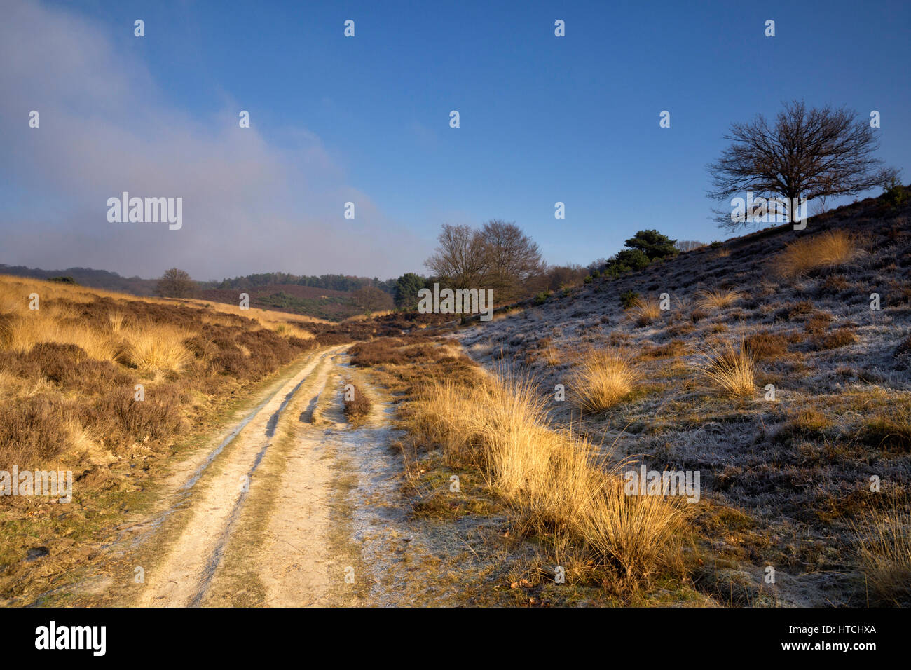 Camino de arena en el Posbank Foto de stock