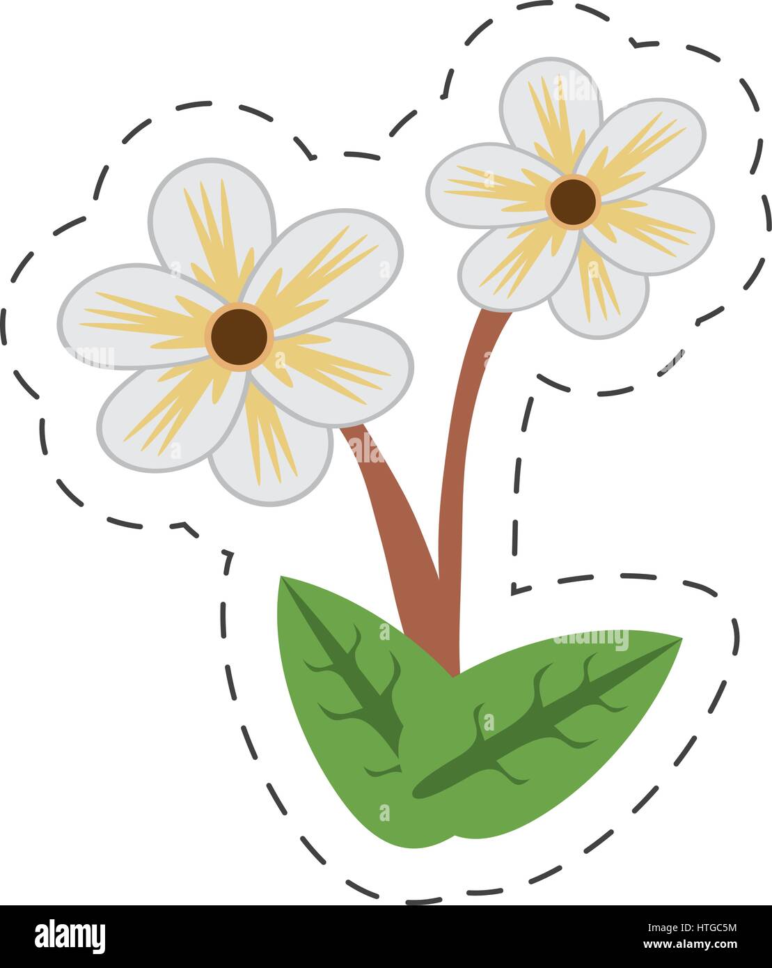 Imagen flor de jazmín de dibujos animados Imagen Vector de stock - Alamy