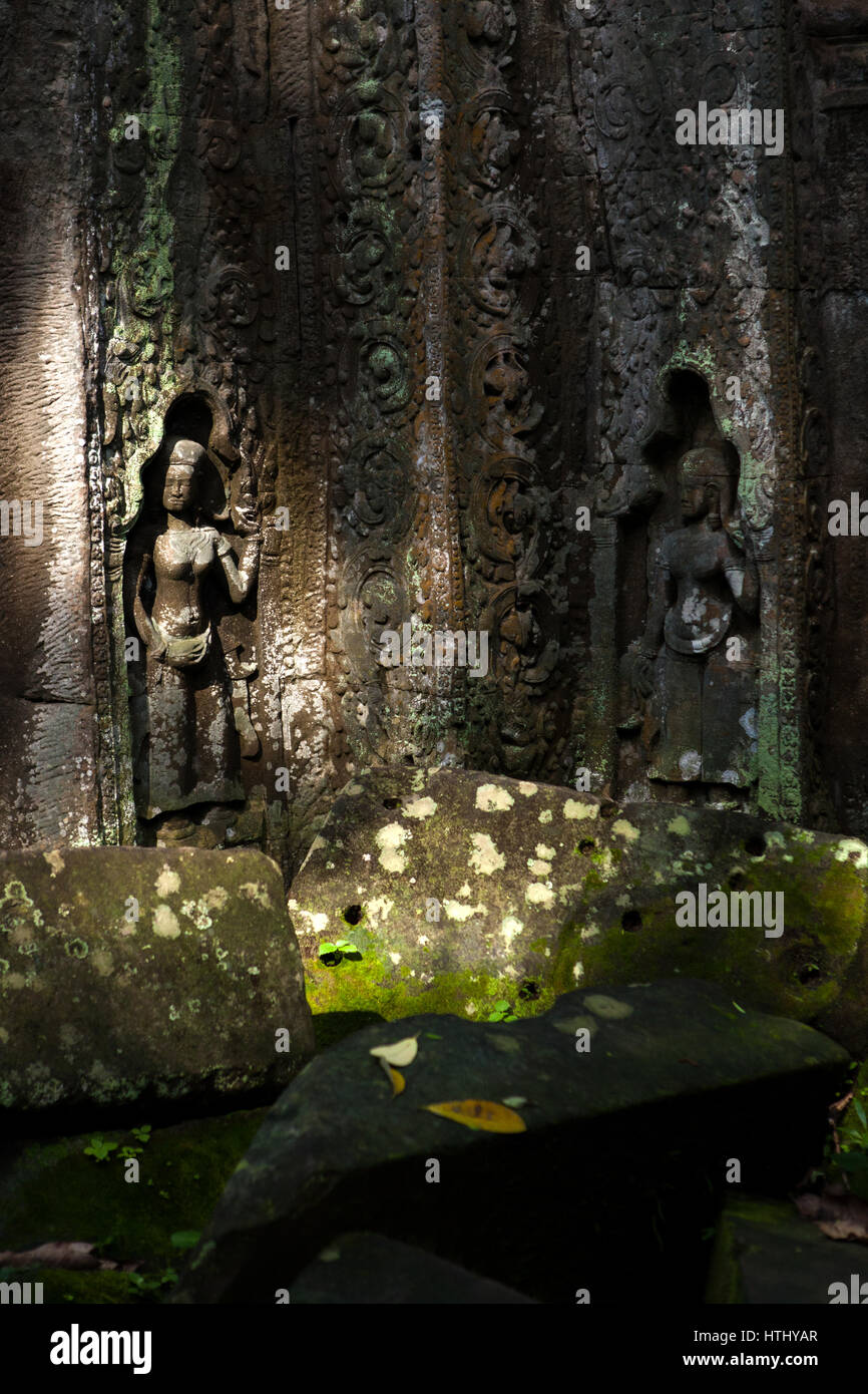 Relieve de las figuras de apsara en la pared de Ta Prohm, un antiguo monasterio abandonado y templo en Siem Reap, Camboya. Foto de stock