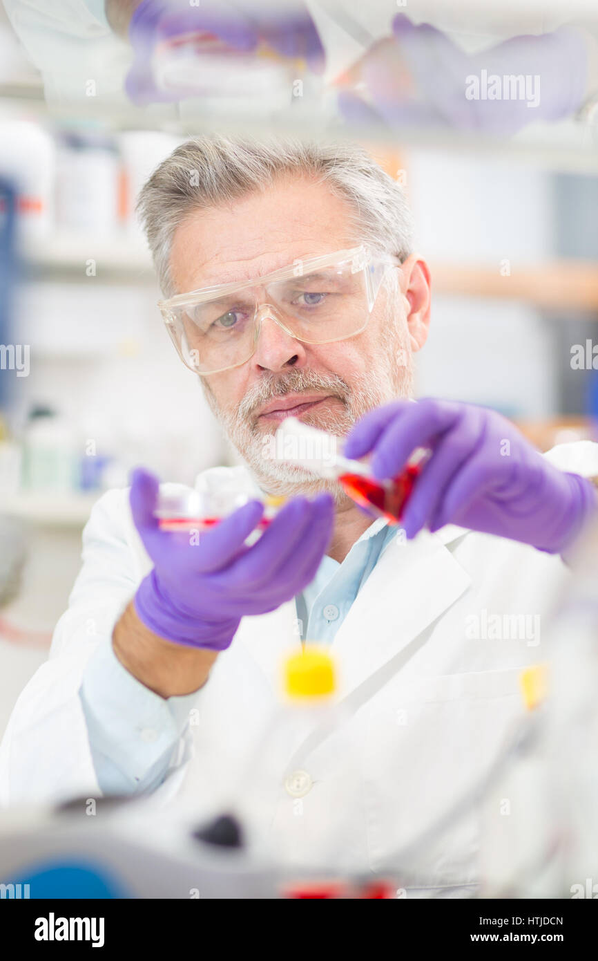 La investigación científica de la vida en el laboratorio. Foto de stock