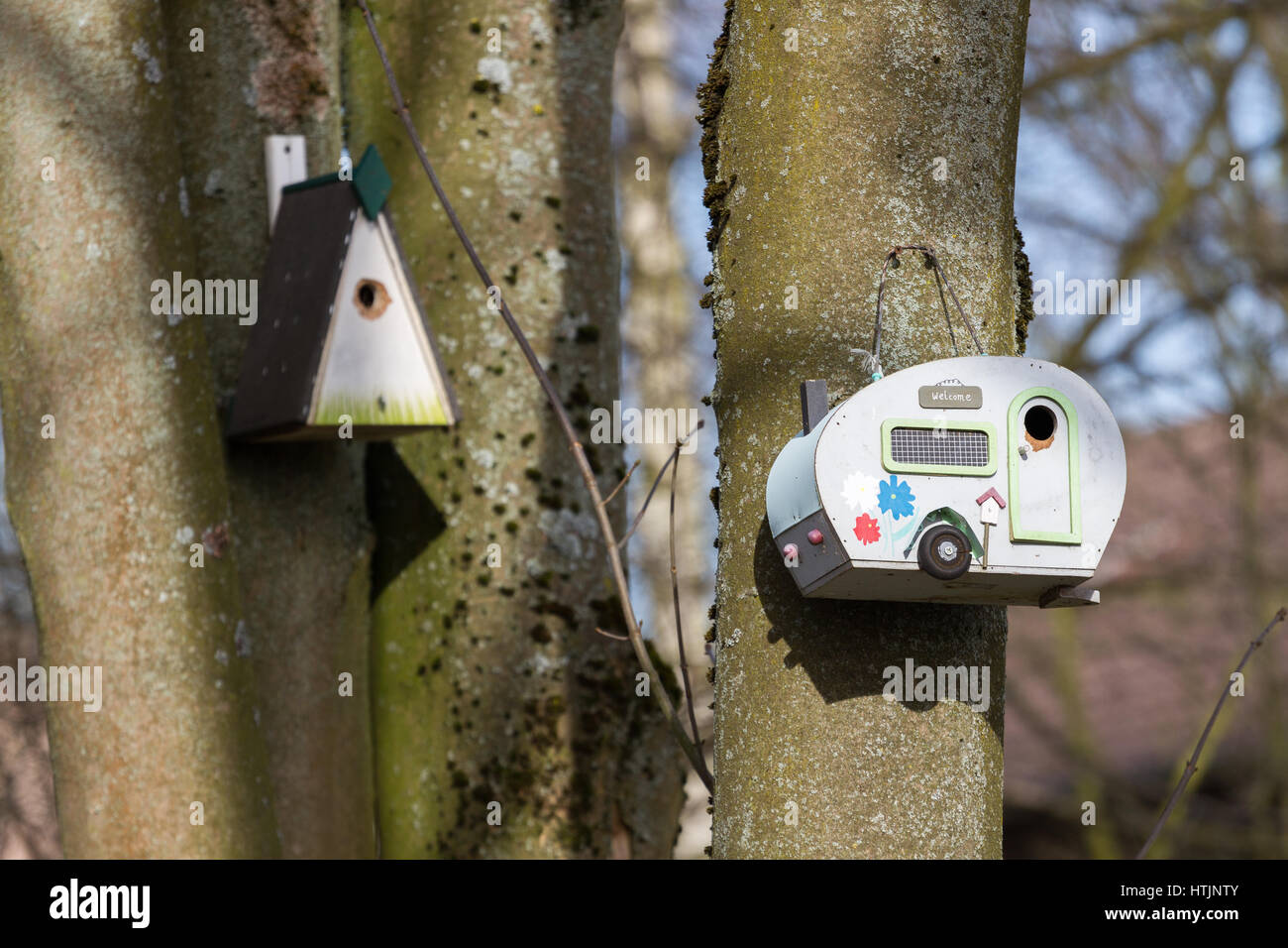 Una caravana bird box/ caja de nido colgando de un árbol en el bosque en un jardín. Foto de stock