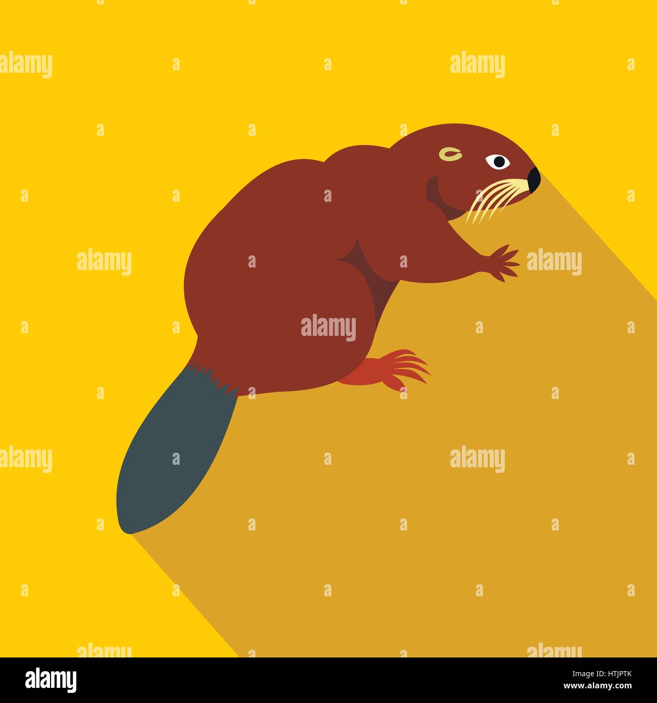 Castor canadiense Imágenes vectoriales de stock Alamy