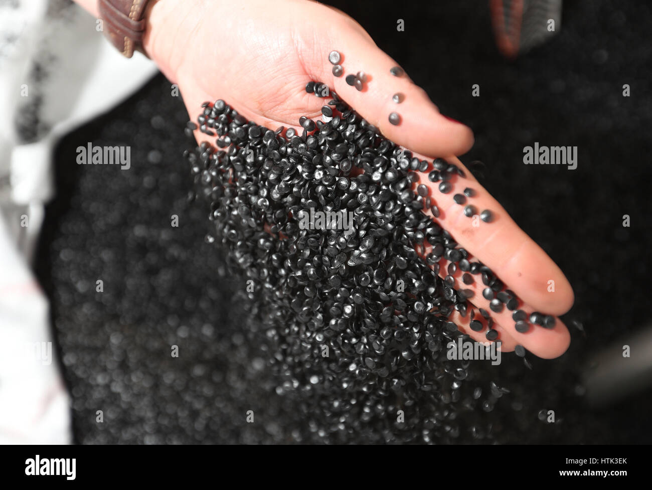 Una sala de prensa operativo agarra un puñado de bolitas de pvc negro en la fábrica de Vinilo, Hayes, Middlesex. La mayoría de los pellets utilizados para crear la mezcla de discos de vinilo son claras y sólo un pequeño porcentaje de gránulos de color son necesarios para crear, en este caso, un disco de vinilo negro. Foto de stock