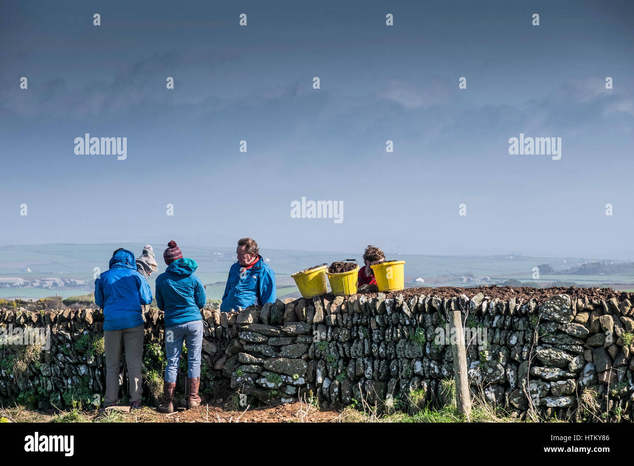 Voluntarios reparando una granja de piedra de pared de la cabecera de Pentire Cornwall Reino Unido Foto de stock