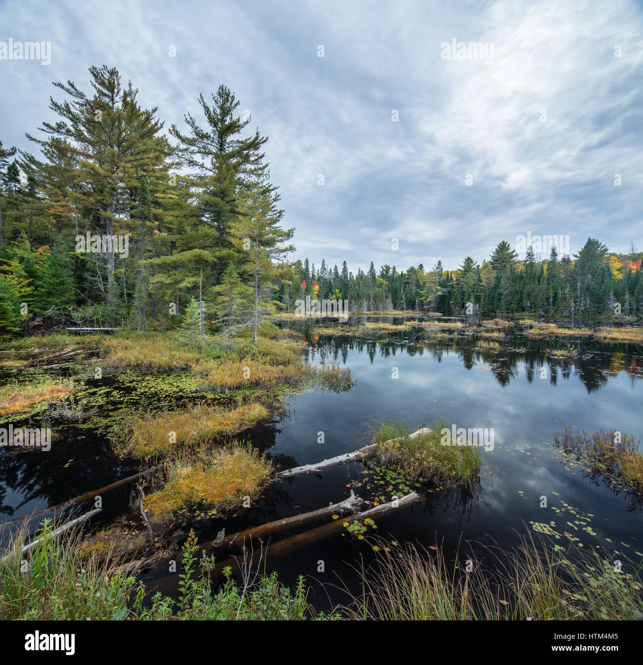 Wolf Howl Pond, Algonquin Provincial Park, Ontario, Canadá Foto de stock
