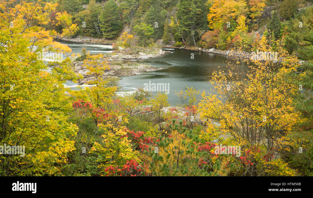 Río francés nr recoleto Falls, Ontario, Canadá Foto de stock