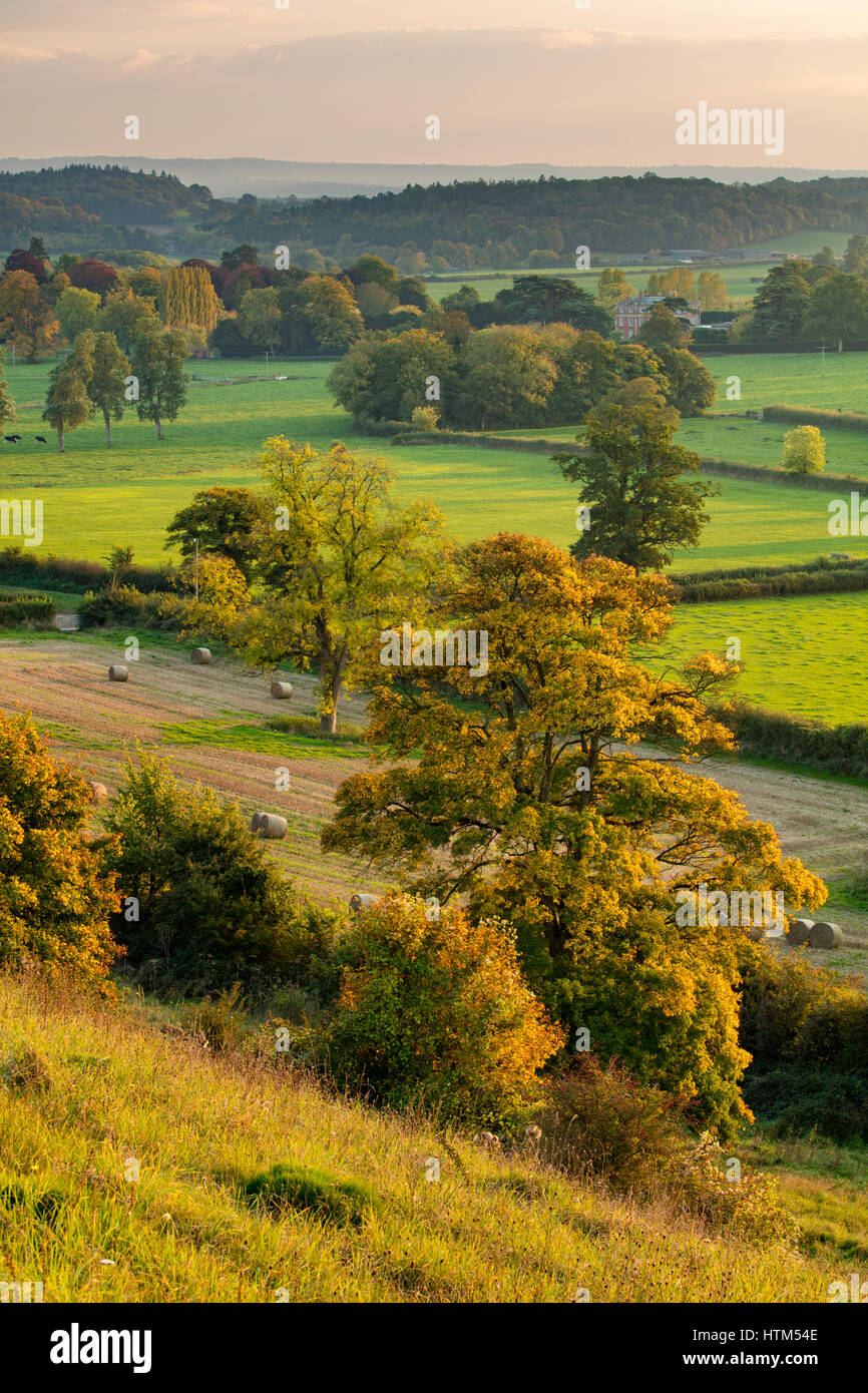 Colores de otoño en el valle alrededor Milborne Wick, Somerset Foto de stock