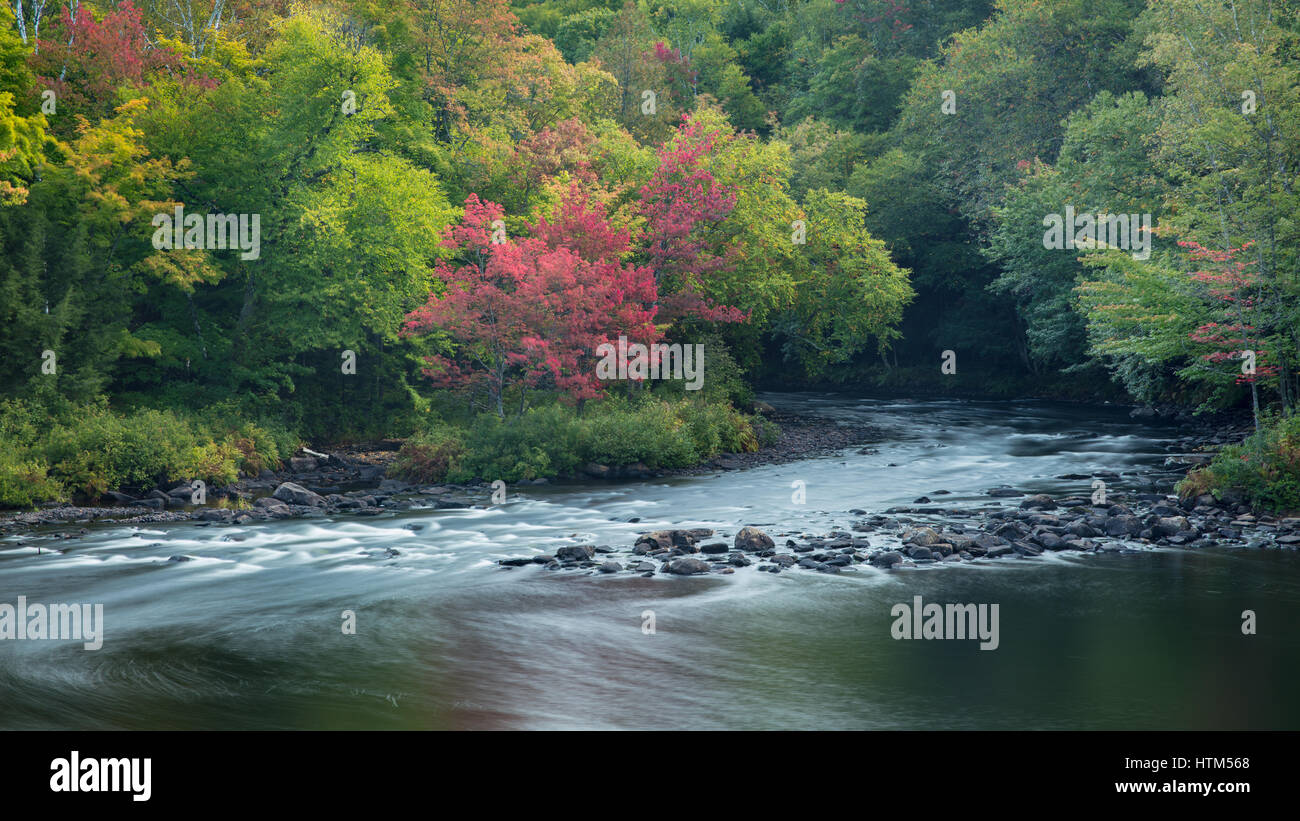 Colores de otoño a lo largo del río Oxtongue Oxtongue Rapids Park, Ontario, Canadá Foto de stock