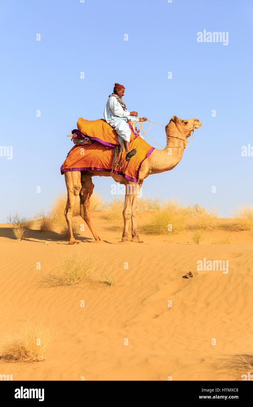 Safari del camello, el desierto de Thar, Rajasthan, India Foto de stock