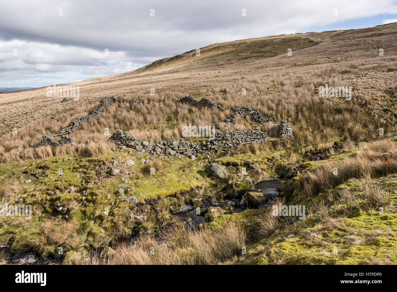 Abandonados, o washdub washfold, además Arkleside Gill sobre Arkleside Moor, Coverdale, Yorkshire Dales. Los viejos muros de piedra arenisca se funden en los páramos Foto de stock