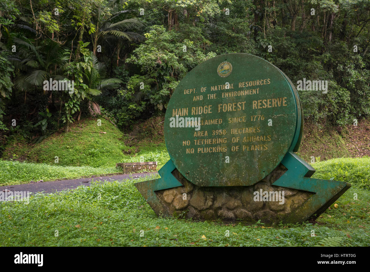 Tabago Main Ridge Forest Reserve, un sitio del Patrimonio Mundial de la UNESCO; Trinidad y Tobago. Foto de stock