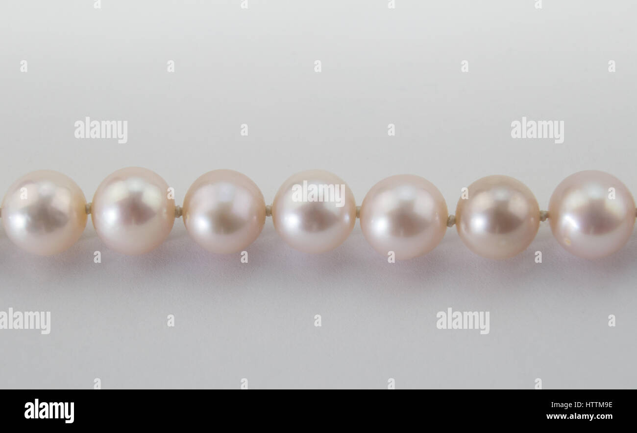 Rosa pálido collar de perlas reales de cerca sobre fondo blanco. Foto de stock