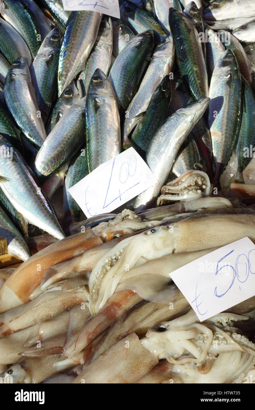 Calamar, sepia, calamar a la venta en el mercado de pescado, Catania, Sicilia Foto de stock