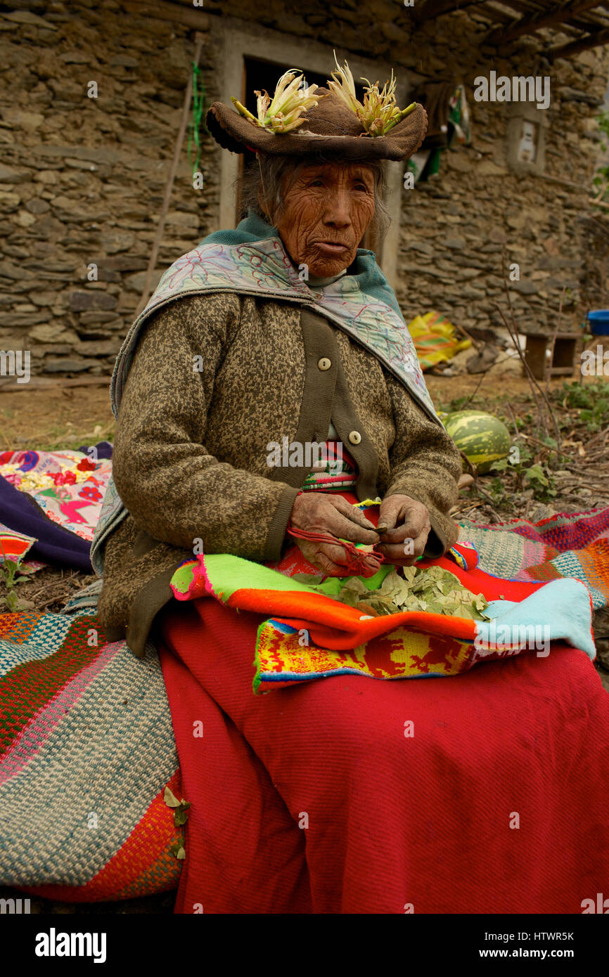Anciana mastica hojas de coca, en lo alto de los Andes Peruanos, Perú