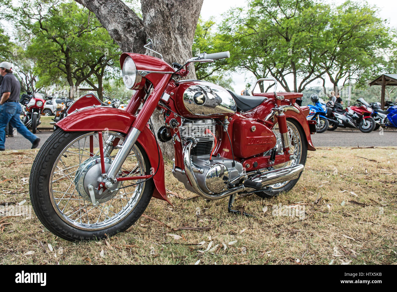 honda dream 300cc