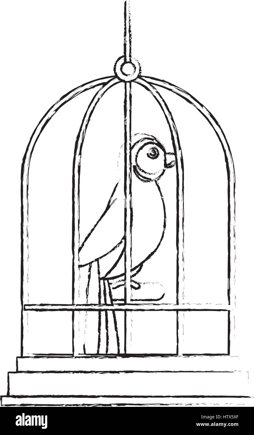 Lindo pájaro en jaula mascot Imagen Vector de stock - Alamy