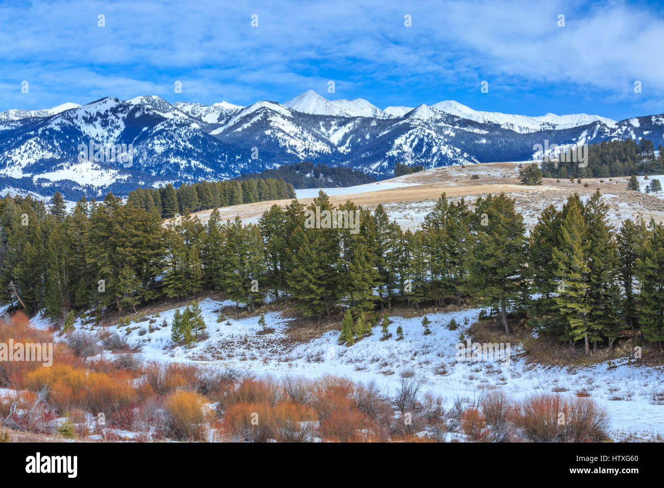 Loco por encima de las montañas y estribaciones del hábitat ribereño en invierno cerca de wilsall, Montana Foto de stock