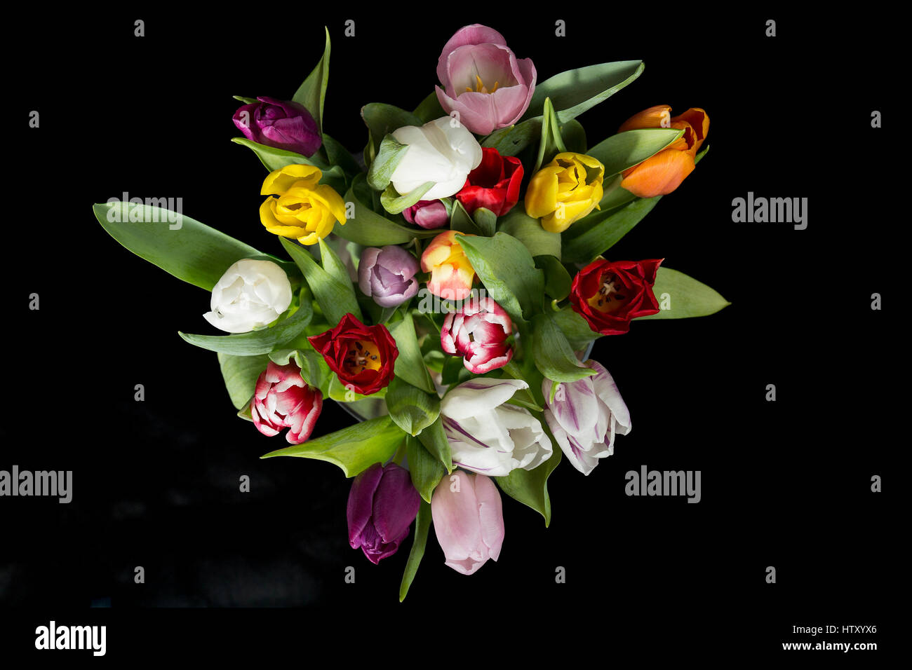 Ramo de tulipanes coloridos, sobre fondo negro. Foto de stock